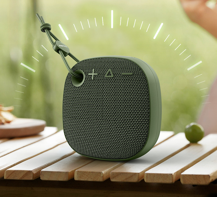 recci speaker